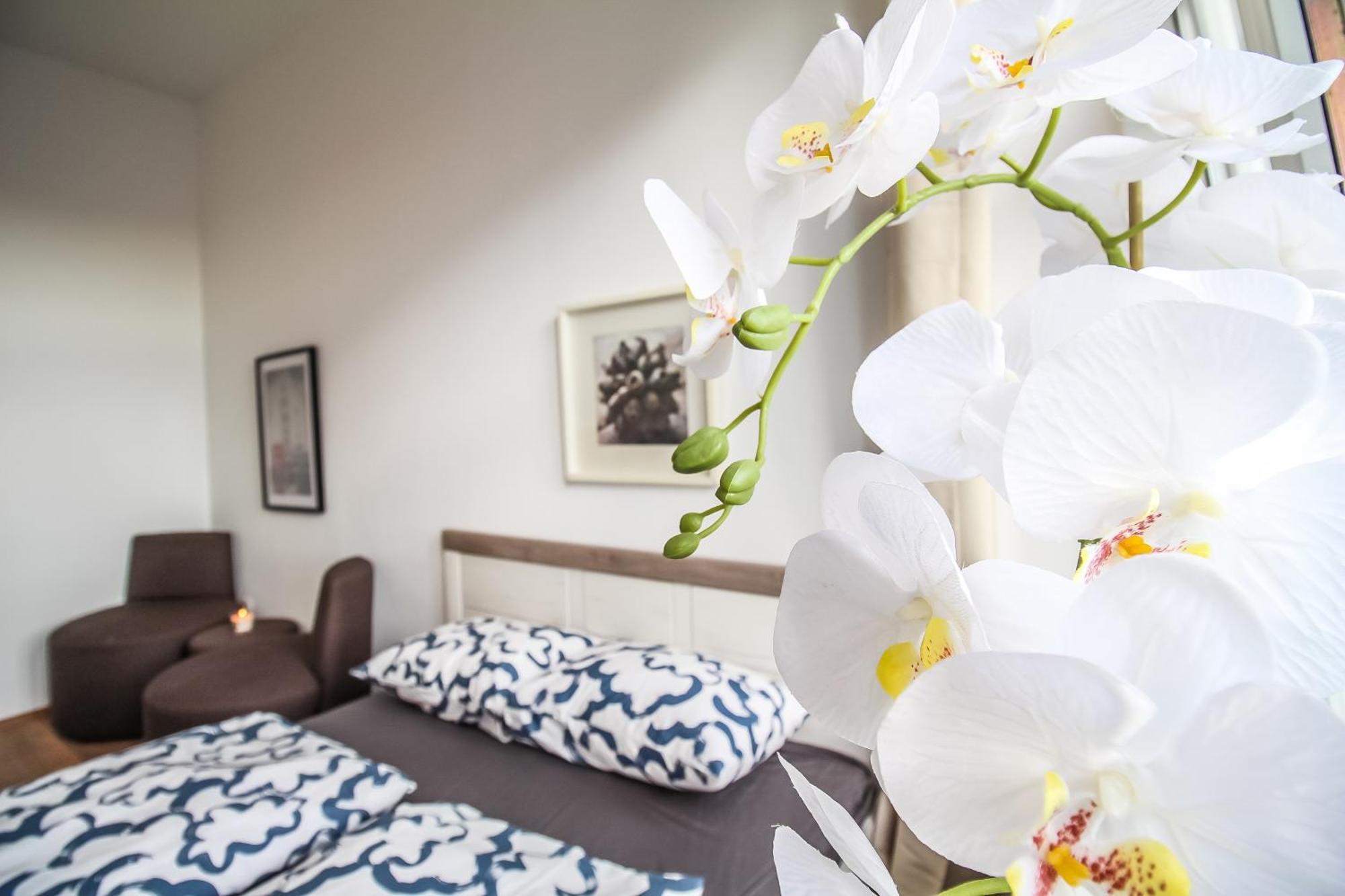 Disc Cozy Rooms In Liesing Wien Eksteriør billede